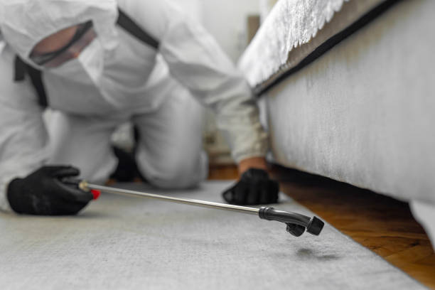 Professional Bed Bug Control technician working in Riva, MD